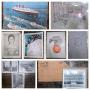 Collected Literary Finds - Bidding ends 7/26