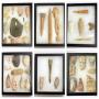 Stone and Arrowhead Collection - Bidding ends 8/22