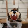 Taz Auction 