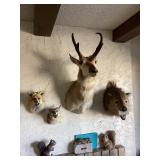 ***CAMPING, HUNTING AND FISHING IN TEMPE***