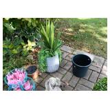 683-Back Yard