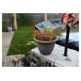 373-Back Yard