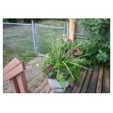 384-Back Yard