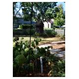 1265-Back Yard