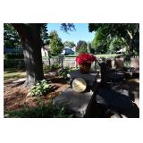 1274-Back Yard