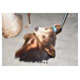 001-Some Highlights Yorkville Estate Sale