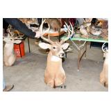 004-Some Highlights Yorkville Estate Sale