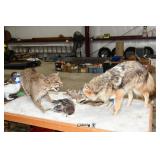 007-Some Highlights Yorkville Estate Sale