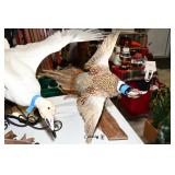 013-Some Highlights Yorkville Estate Sale