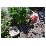 1384-Back Yard