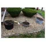 937-Front Yard