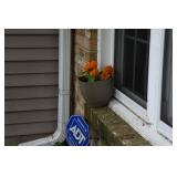 1131-Front Yard