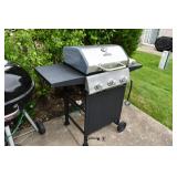 1136-Back Yard