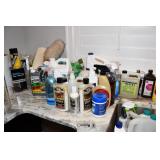 0895-Laundry Room