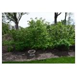1095-Back Yard