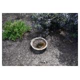 1096-Back Yard