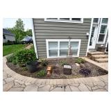 1114-Back Yard