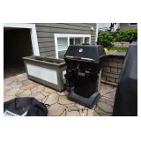1117-Back Yard