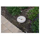 1129-Back Yard