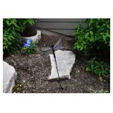 1131-Back Yard