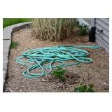 1166-Back Yard