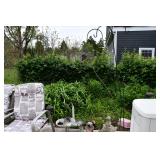 884-Back Yard