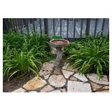 1159-Back Yard