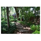 1214-Back Yard