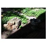 1220-Back Yard