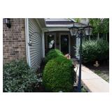 1129-Back Yard