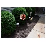 1131-Back Yard