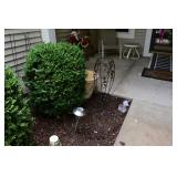 1133-Back Yard