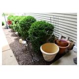 1142-Back Yard