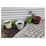 1147-Back Yard