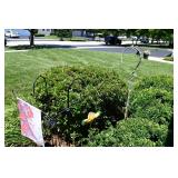 874-Front Yard
