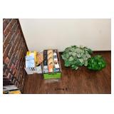 516-Basement