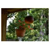 12 Back Yard  (18)
