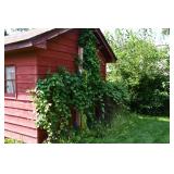13 Shed (2)