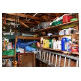 13 Shed (30)
