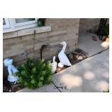 14 Front Yard (6)