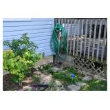 531-Back Yard