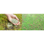 lawn care