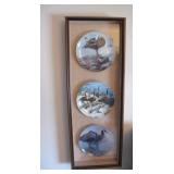 water foul plates