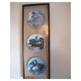 water foul plates