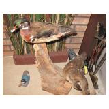 taxidermy ducks