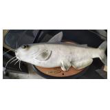 Rubber catfish