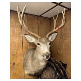 Online moving auction