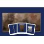Masonic Memories That Live 