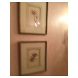 Prints