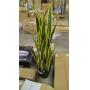 Iowa City Auction April 19